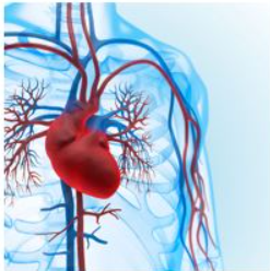 5th Annual Philadelphia Cardiovascular Congress Banner